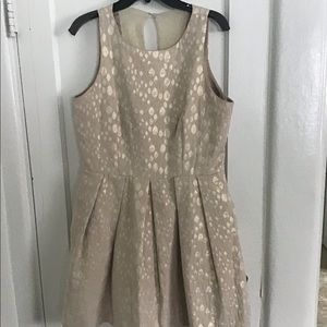 FINAL SALE Women’s Taylor Dress